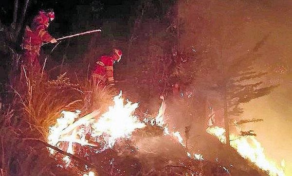 Campaña de prevención contra incendios forestales en Cusco (FOTOS)