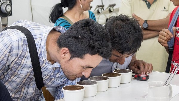 Jóvenes emprendedores serán capacitados en producción de cafés especiales en Cusco