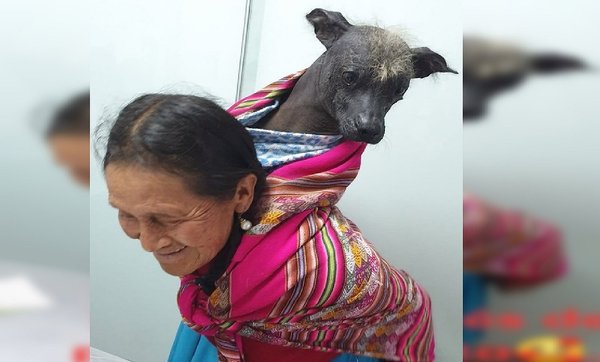 Tierna imagen de mujer y su mascota conmueve las redes sociales (FOTOS)