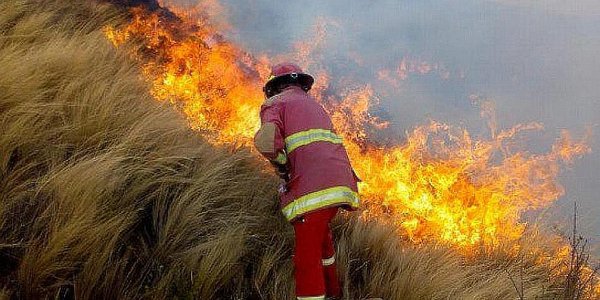 Anciana pierde la vida tras incendio forestal en Cusco